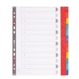 Intercalaire A4+ carte lustrée colorée Exacompta 12 onglets neutres multicolores - 1 jeu