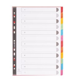Gekleurde A4 tabbladen in stevig karton Exacompta - 12 tabs