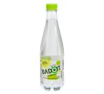 Eau gazeuse Badoit Zest citron vert 50 cl - 30 bouteilles