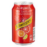 Packung 24 Dosen Schweppes Agrum 33 cl