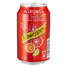 Pack of 24 cans Schweppes Agrum 33 cl