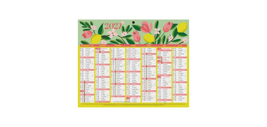 Calendrier semestriel mural 2027 - Fleurs - 21 x 26,5 cm