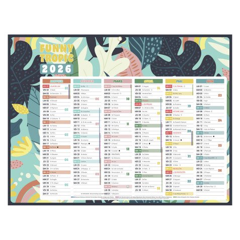 Calendrier semestriel mural 2026 - Exotique - 32 x 42 cm