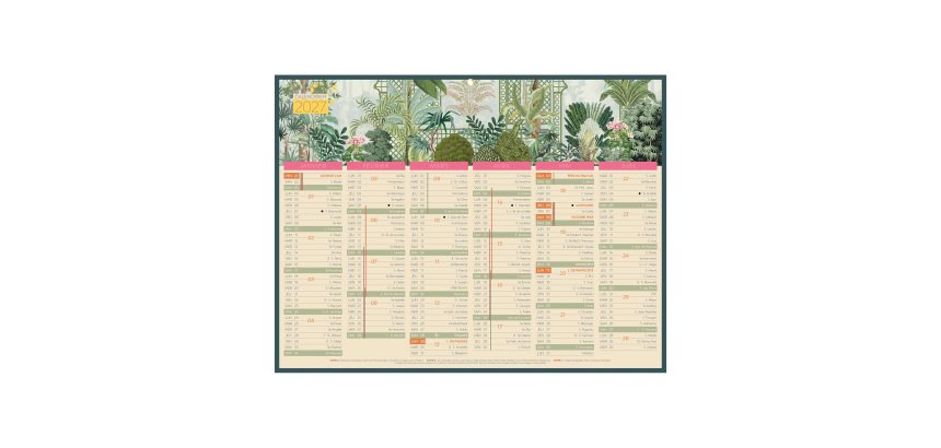 Calendrier semestriel mural 2027 - Exotique - 32 x 42 cm