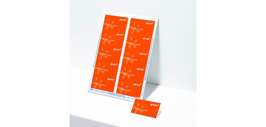 Boîte de 200 inserts microperforés 54 x 90 mm pour badges