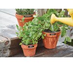 Rubans Dymo D1 12 mm Durable noir écriture blanche