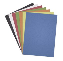Cubiertas de encuadernación Cartulina Piel Fixocover A4 250 g. Blanco - Paquete de 100 unidades