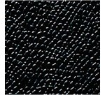 Agenda Quo Vadis EU semainier - Année scolaire août 2025 août 2026 - 21 x 29,7 cm