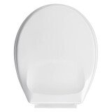 Thermoplastic toilet seat