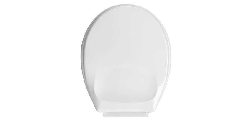 Thermoplastic toilet seat