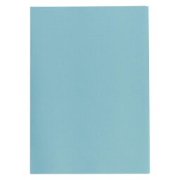 Pack of 250 recycled folders
