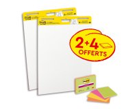 Flip-Chart Meeting Chart - 2 Blöcke für Flip-Chart +4 Meeting Notes gratis