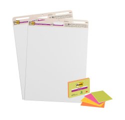 Pack 2 paperboard - chevalets mobiles Meeting Chart + 4 Meeting Notes offertes