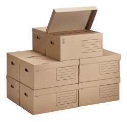 Pack 60 archive boxes back 10 cm + 10 cases budget brown