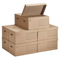Packung 60 Archivschachteln Rücken 10 cm + 10 Container Budget braun