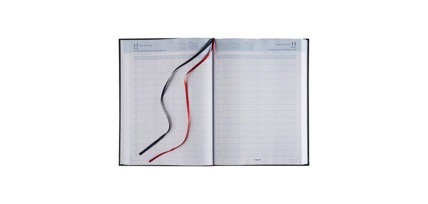 Diary 2026 Brepols Bremax 1 - 21 x 29 cm