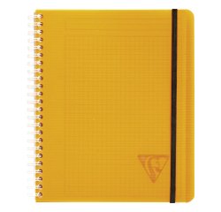 Carnet spirales Proactiv'book Linicolor format 16 x 21 cm - petits carreaux - 180 pages