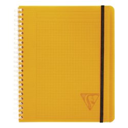 Carnet spirales Proactiv'book Linicolor format 16 x 21 cm - petits carreaux - 180 pages