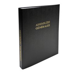 Register deliberations General Assembly Le Dauphin 931E