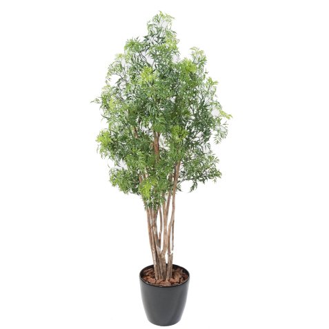 Künstliche Zimmerpflanze Ming Aralia Nitidia 160 cm 