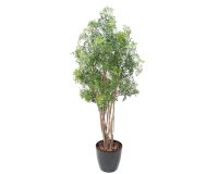 Kunstplant voor binnen Ming Aralia Nitidia 160 cm 