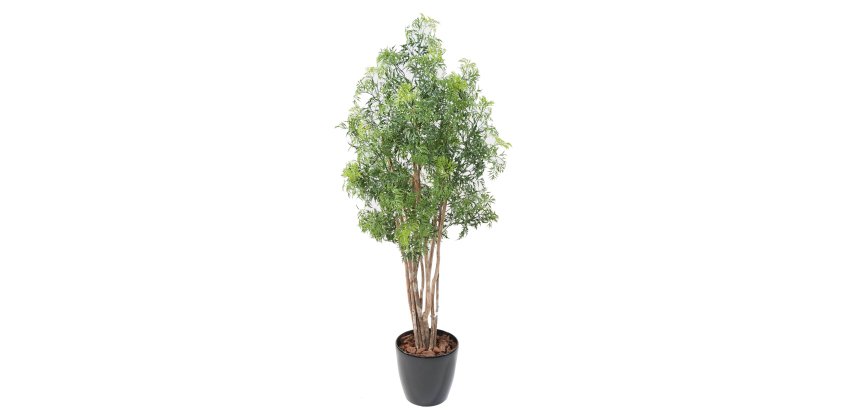 Plante artificielle d'intérieur Aralia Ming Nitidia 160 cm
