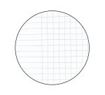 Etui 100 feuillets mobiles simples Conquérant Sept format A4 21 x 29,7 cm grands carreaux