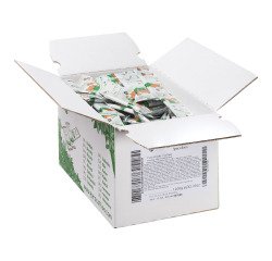 Speculoos Puro - Carton de 200