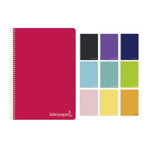 Cuaderno tapa rígida folio cuadrícula 4x4 Witty Liderpapel - 80 hojas