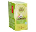 Thé vert Sencha Lipton - Boîte de 25 sachets pyramides