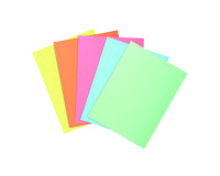 Standard subfolder 60 g Super Exacompta 22 x 31 cm - Pack of 100