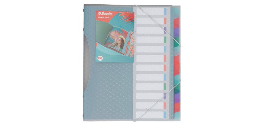 Pultordner in Plastik Esselte Colour'Ice 12 Verteilungen - A4
