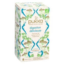 Thee Feel New Bio Pukka - doos van 20 zakjes