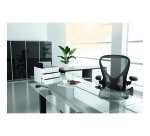 Module de classement Smartbox Plus Allison 2 tiroirs et 1 boîte de rangement