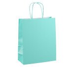 Sacs boutique kraft poignées torsadées 22 x 18 x 8 cm - 50 sacs
