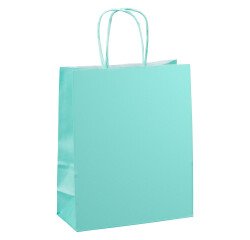 Sacs boutique kraft poignées torsadées 22 x 18 x 8 cm - 50 sacs