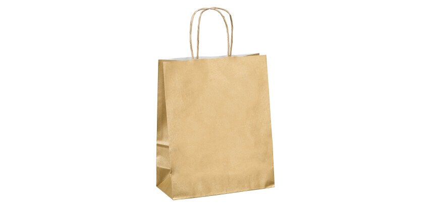 Sacs boutique kraft poignées torsadées 22 x 18 x 8 cm - 50 sacs