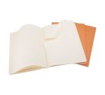 Set de 3 cahiers Moleskine 13 x 21 cm ivoire ligné 80 pages