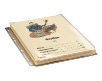 Fundas multitaladro Esselte A4 con fuelle banda reforzada PVC 170 micras Paquete de 3