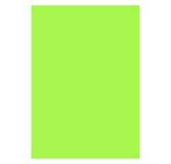 Doos 100 fluo etiketten 210x297mm