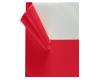 Box, 200 coloured labels 210 x 148 mm - red