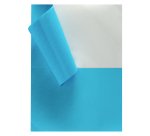 Etiqueta para inkjet y láser 210 x 148,5 mm color vivo - Caja de 200