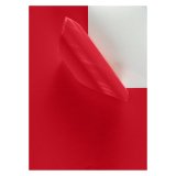 Etiquettes couleurs 105 x 148,5 mm - Boîte de 400