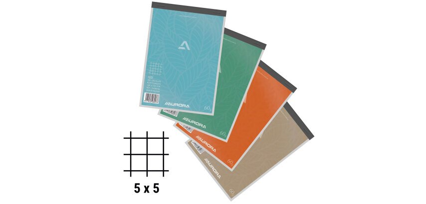Notebook Aurora A5 148 x 210 mm - squared 5 x 5 - 100 sheets