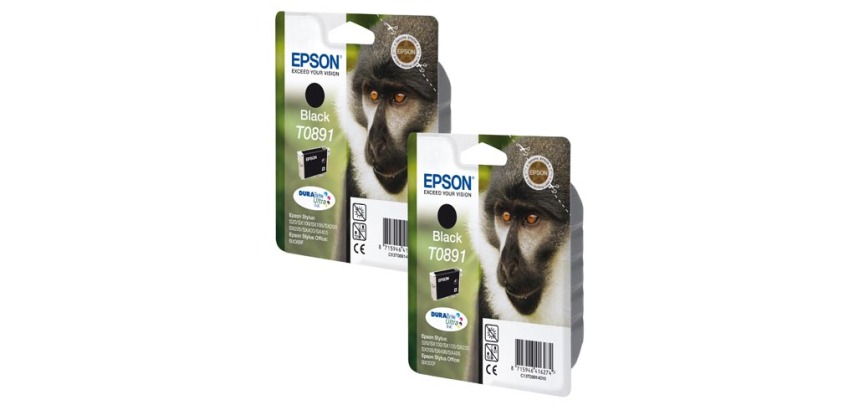 Epson T0891 Pack cartouche noire pour imprimante jet d'encre