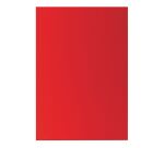 Pak 100 plastic kaften voor inbindmachine - kristal 20/100 -Pak van 100