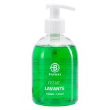 Bottle of 300 ml hand soap apple lemon Bruneau