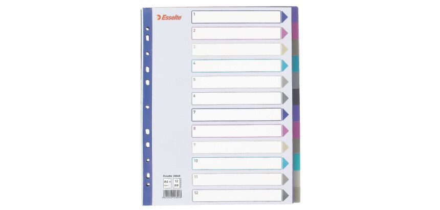 Intercalaire neutre A4+ Esselte plastique 12 onglets multicolores - 1 jeu