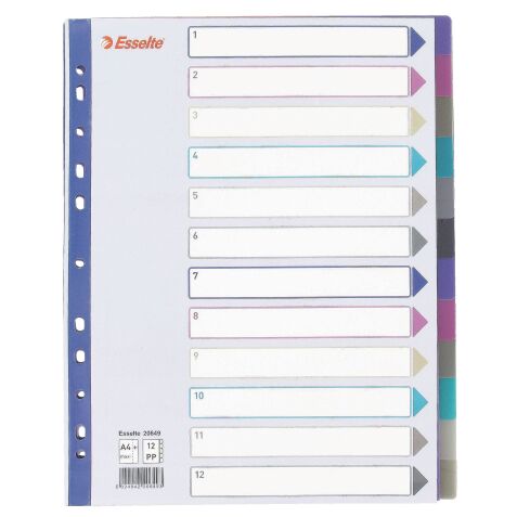 Intercalaire neutre A4+ Esselte plastique 12 onglets multicolores - 1 jeu