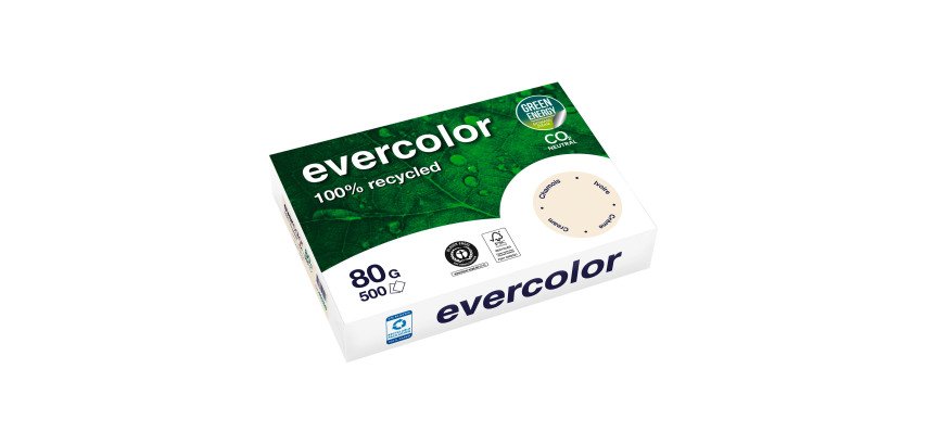 Papier A4 couleur 80 g Clairefontaine Evercolor - Ramettes de 500 feuilles
